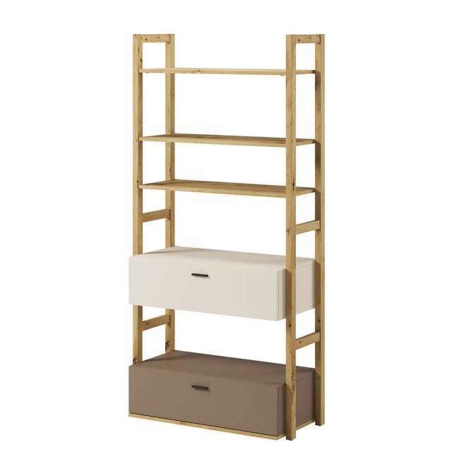 LennyLY 02 Bookcase