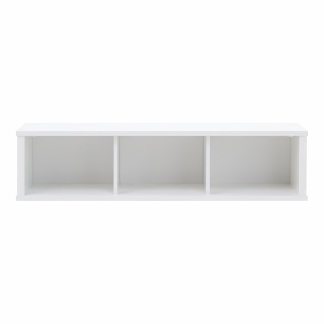 Erden REG-OTW-WIS 125 Wandschrank