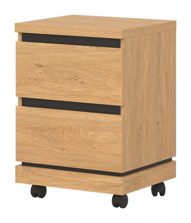 ATE-AT 09 Cabinet unit on casters