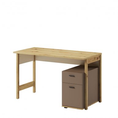 LennyLY 04 Desk