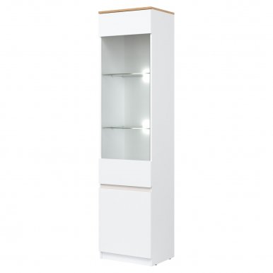 RM- 07 L/R Glass-fronted cabinet