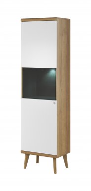 Primo PWT50 Glass-fronted cabinet