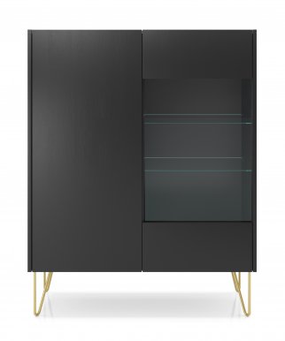 Harmony WT97 Glass-fronted cabinet