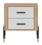 DAN-DT DT 21 Bedside
