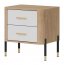 DAN-DT DT 21 Bedside