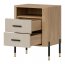 DAN-DT DT 22 Bedside