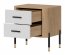 DAN-DT DT 21 Bedside
