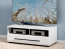 Fever RTV1S/3/10 TV cabinet white mat/white gloss