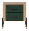 DAN-DT DT 21 Bedside