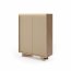 Style-Japandi A Chest with 2 doors and lighting