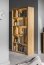 Velle 16 Bookcase with lighting PrestigeLine