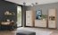 DAN-DT 24 Hanging shelf,Cremona Torro oak
