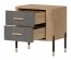 DAN-DT DT 21 Bedside