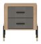 DAN-DT DT 21 Bedside