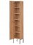 MADERA- GREY 800 Tall cabinet