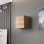 Vigo 50x50x30 Wall cabinet