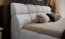 Giulia 160x200 Doppelbett mit Bettkasten