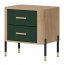 DAN-DT DT 21 Bedside