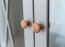 Marone Elite Grey/oak PLMEL02/S Glass-fronted cabinet