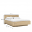 Cross-Line 160x200,Bed with container