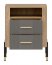 DAN-DT DT 22 Bedside