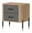 DAN-DT DT 21 Bedside