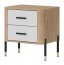 DAN-DT DT 21 Bedside