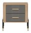 DAN-DT DT 21 Bedside