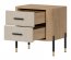 DAN-DT DT 21 Bedside