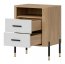DAN-DT DT 22 Bedside