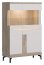 Aston-AN 04 Glass-fronted cabinet