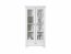 Idento REG2W1S Glass-fronted cabinet