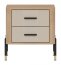 DAN-DT DT 21 Bedside