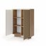 Style-Japandi A Chest with 2 doors and lighting